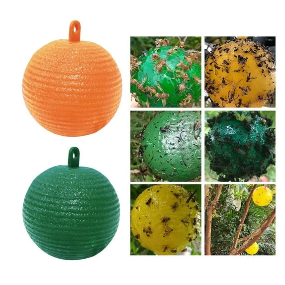 Fly Trap Fruit Fly Trap Indoor Bug Catcher & Adhesive Base - Effective Insect Trap for Household Use Fruit Fly Traps for Indoors 3 Inch Green 1Pc