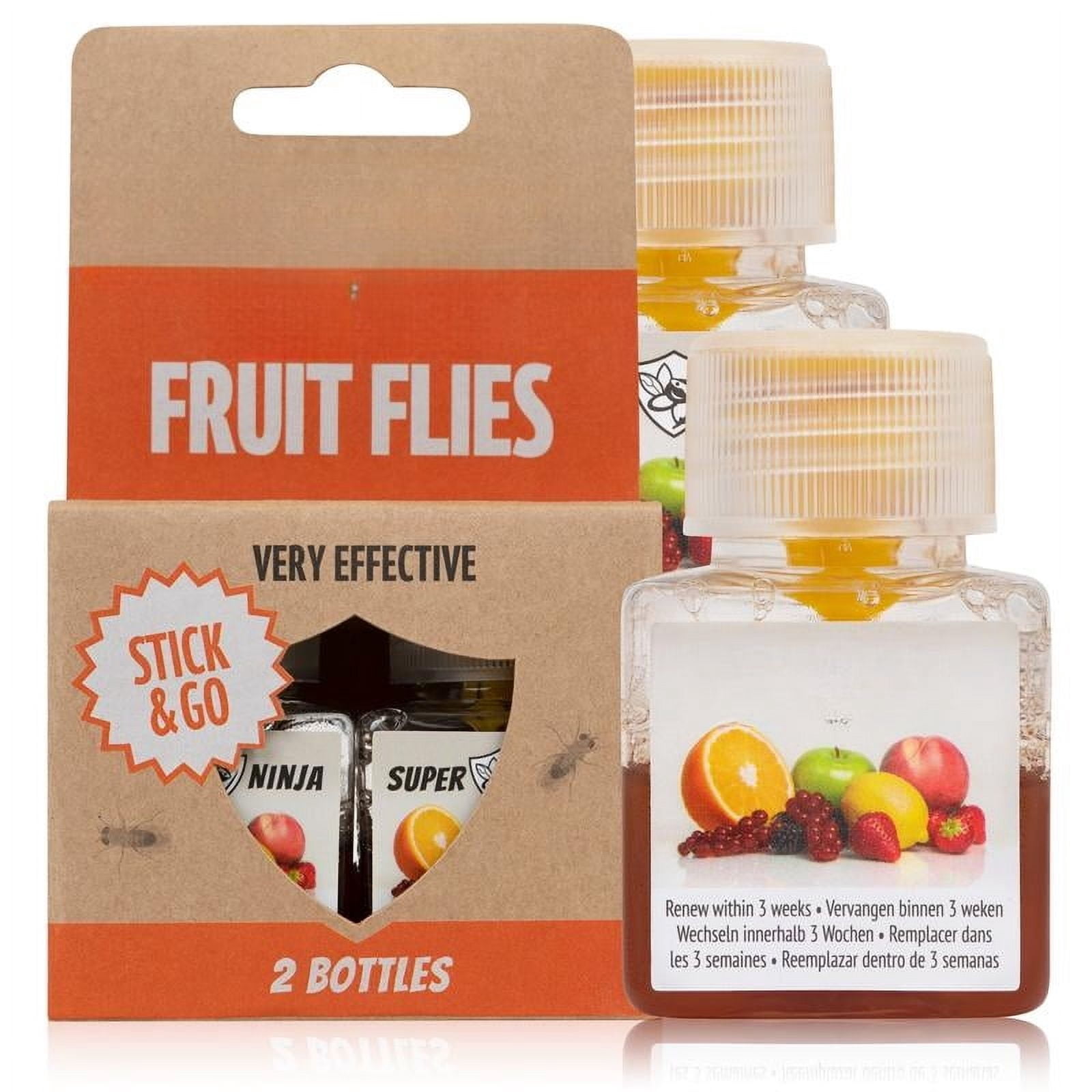 Picture of Fly Trap - Highly Effective Indoor Traps - Environmentally Responsible ...