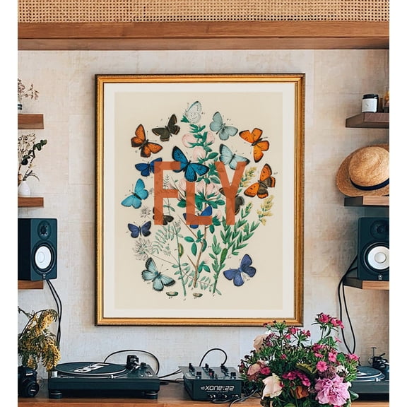 Fly Wall Art, Antique Vintage Art, Butterfly Prints Wall Art, Modern Wall Decor, 8x12 UNFRAMED
