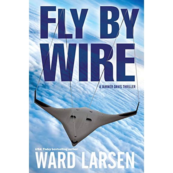 Pre-Owned Fly by Wire (Hardcover) 1933515864 9781933515861