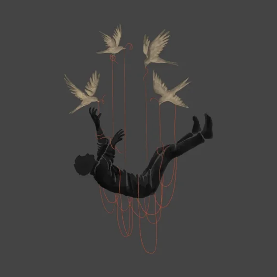 Fly jackduartes