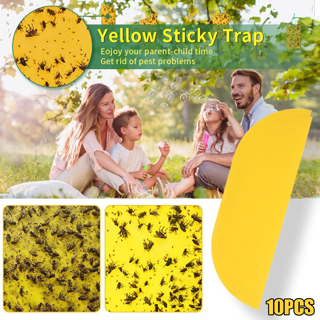 Flycatcher Bed Bug Stick Wood Board SingleSided Sticky Trap Flying