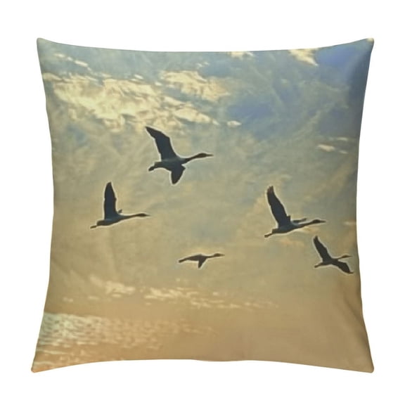 Flying Birds Decorative Throw Pillow Case Pack Silhouettes of Sandhill Cranes in Sunset Sky Nature Theme Photo, Couch Bedroom Living Room Cushion Cover,, Orange Brown