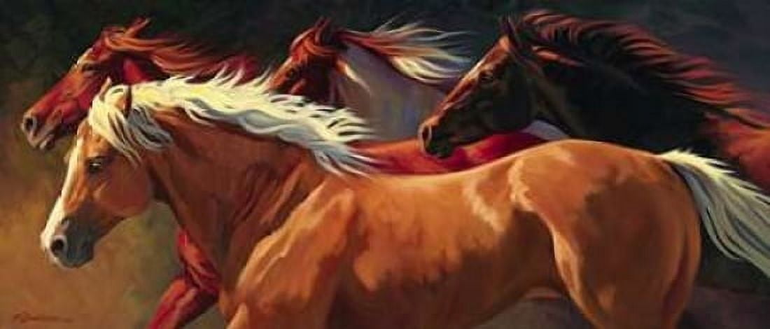 Flying Canvas Art - Nancy Davidson (24 x 48)