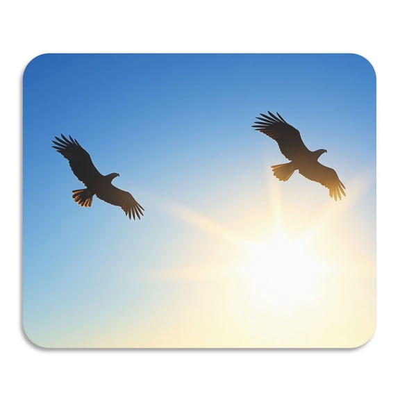 Flying Eagle Diatomaceous Earth Water Absorbent Mat, Anti-Slip Rubber Backing, 15.7" x 11.8"