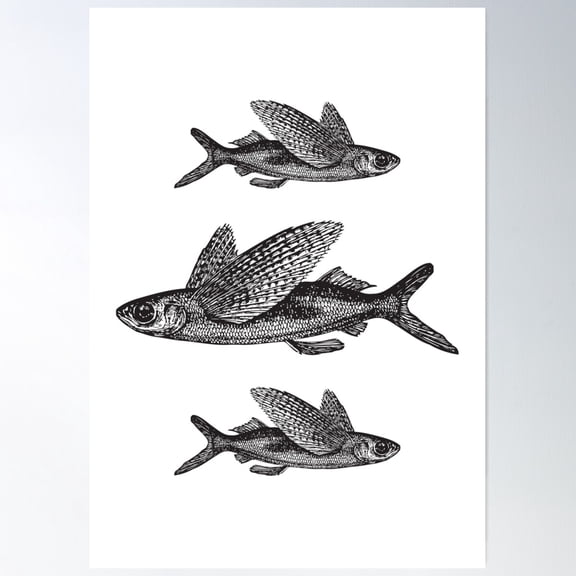 Flying Fish | Vintage Fish | Three Fish | Black And White | Poster Wall Art, Modern Wall Decor For Living Room Bedroom, 24x36 UNFRAMED