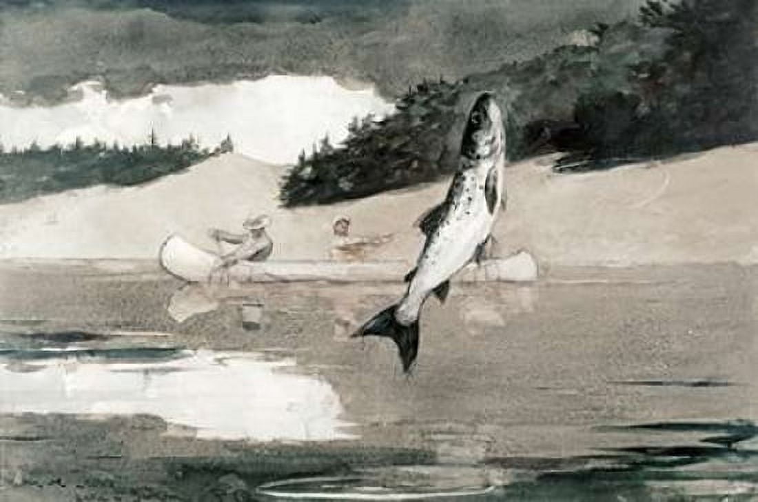 Flying Fish on Lake John Canvas Art - Winslow Homer (20 x 28)