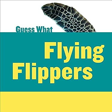 Pre-Owned Flying Flippers : Sea Turtle (Hardcover) 9781634707169
