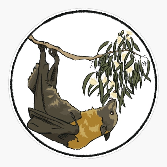 Flying-Fox Foraging; Grey-Headed Flying-Fox #3 Er, Phone Decal Water Bottle Stickers Car Decals, Funny Birthday Gift