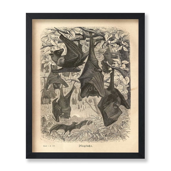 Flying Foxes Gothic Bat Whimsical Animal Nature Portrait Wall Art Decor Unframed Paper Print
