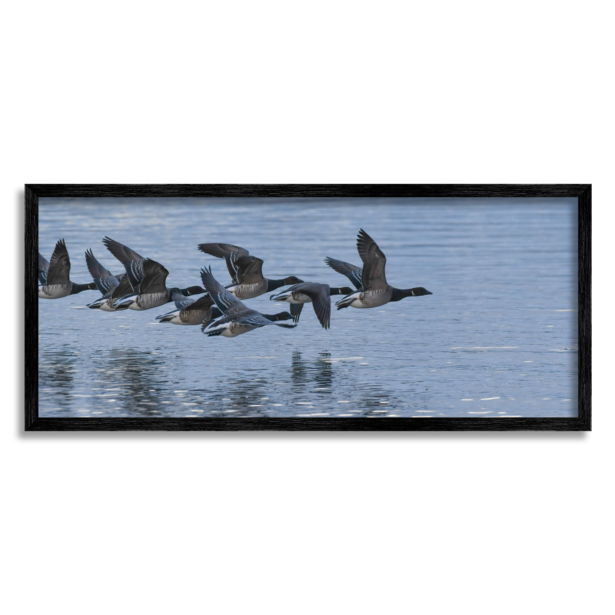 Flying Geese Wings Flapping Calm Ocean Water Animals & Insects Photograph Framed Art Print Wall Art