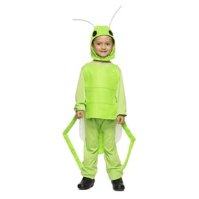 Flying Grasshopper