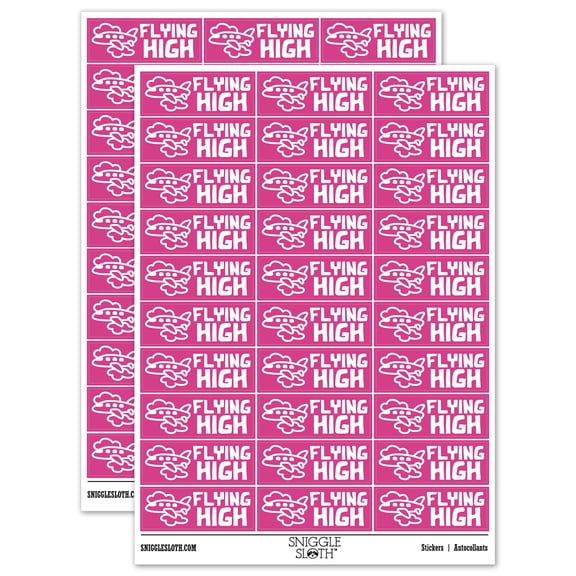 Flying High Airplane Teacher Student School Sticker Set - Hot Pink - Matte Finish - 1.75" Medium