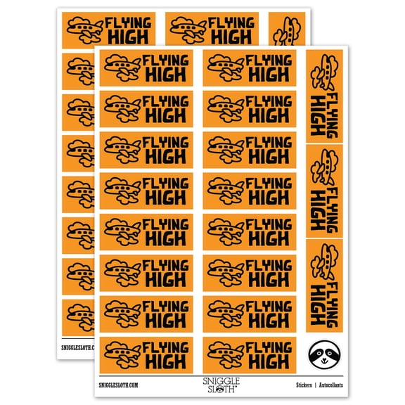 Flying High Airplane Teacher Student School Sticker Set - Orange - Gloss Finish - 2.00" Large
