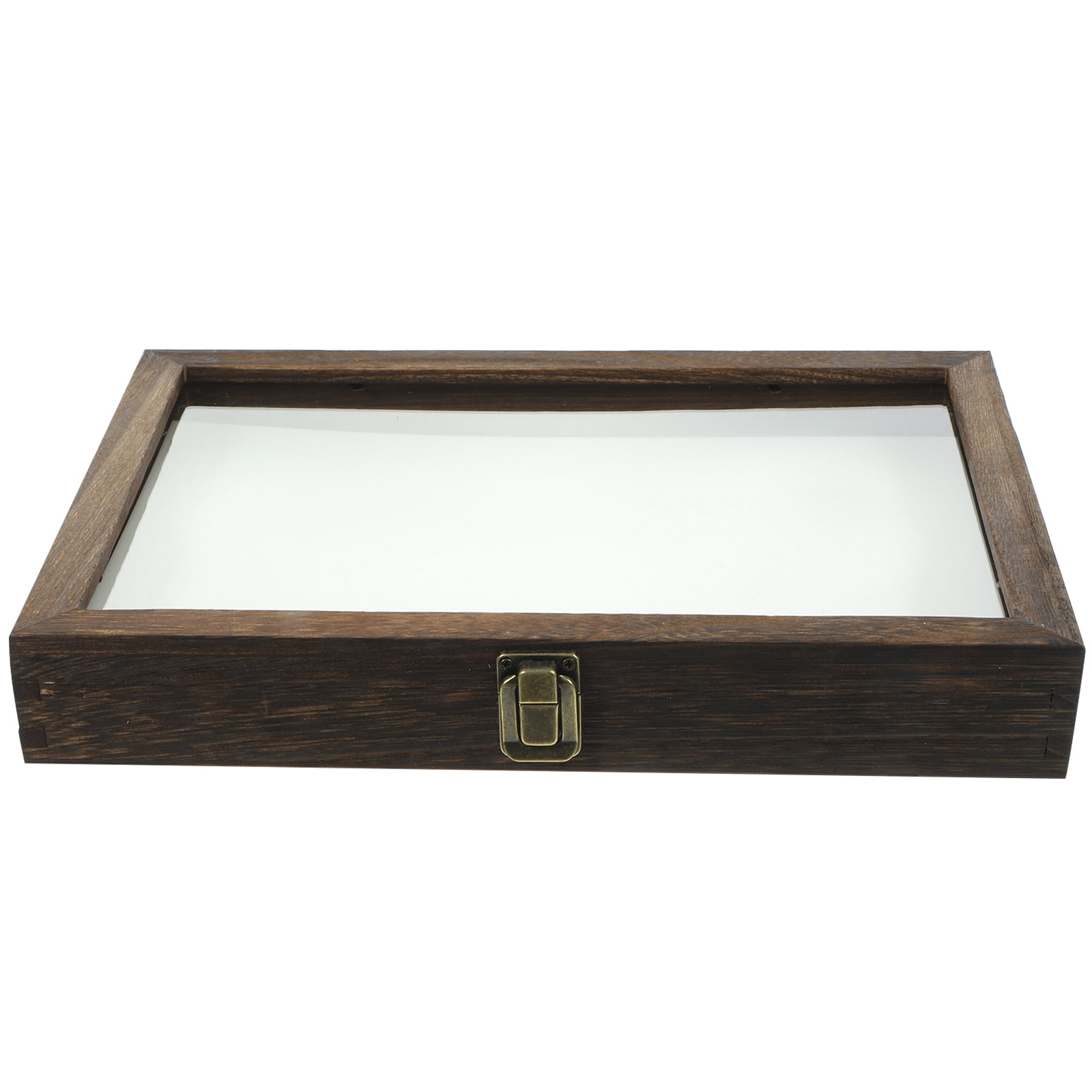 Flying Insect Screen Window Specimen Box Butterfly Display Case ...