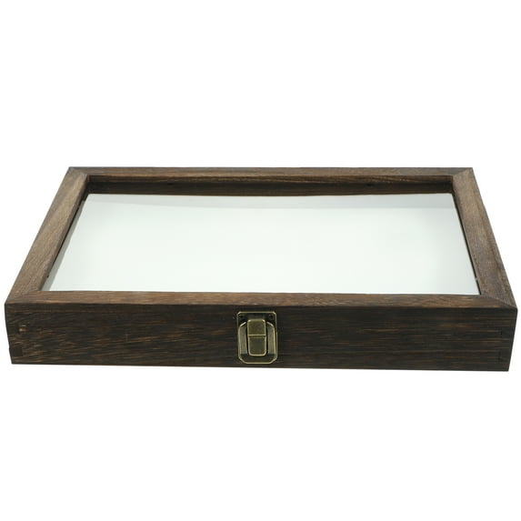 USHOBE Entomology Pinning Box Assorted Color 1Set 12.2X8.7X1.6In