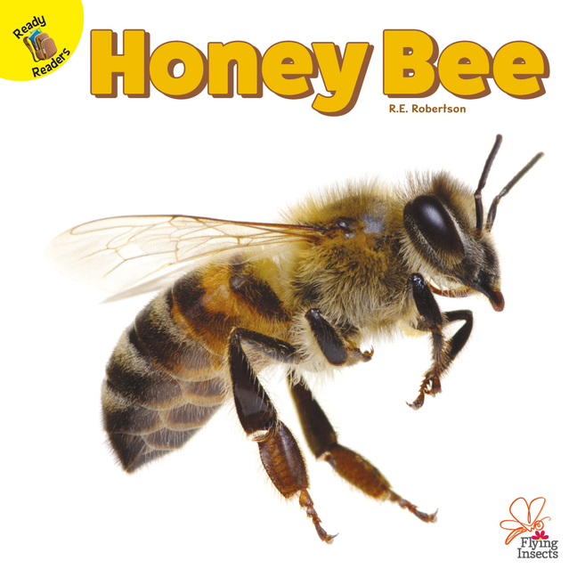Flying Insects: Honey Bee (Hardcover) - Walmart.com