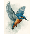 thumbnail image 1 of Flying Kingfisher Decorative Canvas Art，Kitchen Foyer Hallway Living Room Decor, 1 of 8