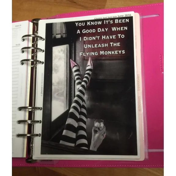 Flying Monkeys Dashboard Made For Use With Filofax A5 Planner~