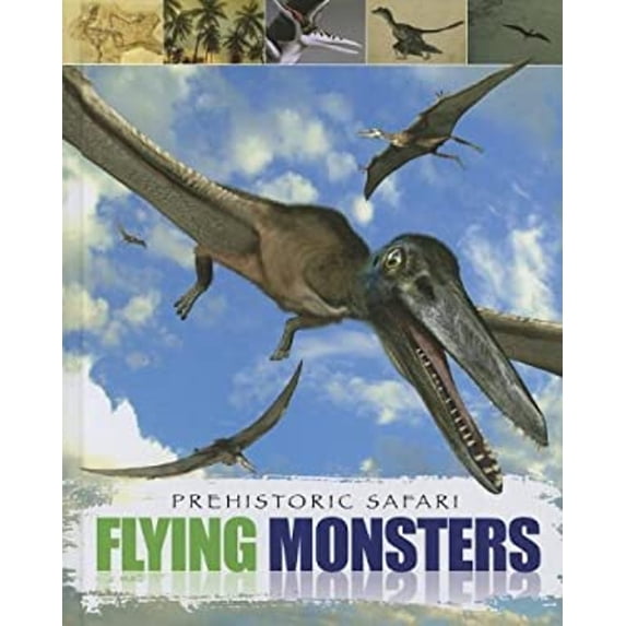 Pre-Owned Flying Monsters (Hardcover) 9781848585676