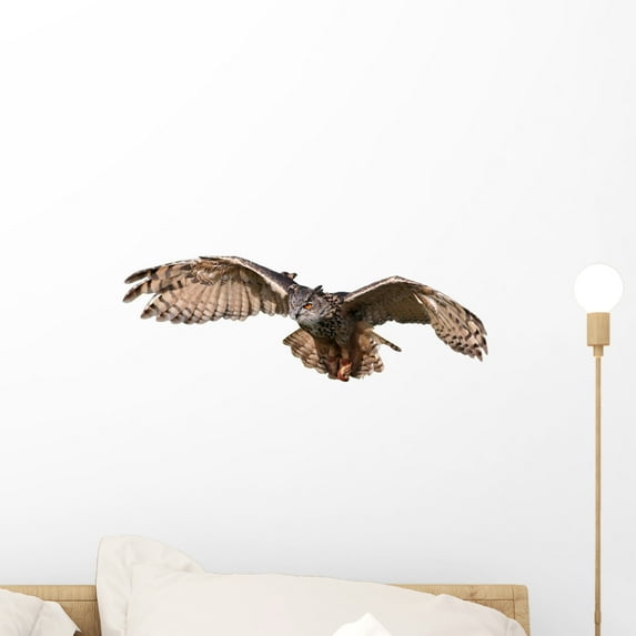 Flying Owl Wall Decal by Wallmonkeys Peel and Stick Graphic (18 in W x 6 in H) WM216660