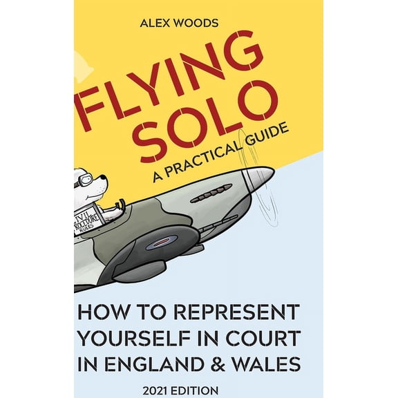 Flying Solo: How to Represent Yourself in England and Wales, (Hardcover)