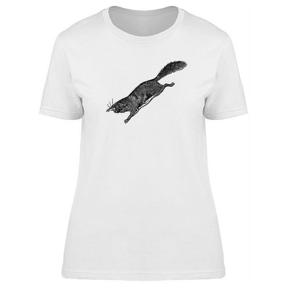 Flying Squirrel  T-Shirt Women -Image by Shutterstock, Female 3X-Large