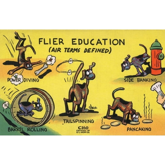 Flying Terms Defined - Flier Education Poster Print By Mary Evans Grenville Collins Postcard Collection