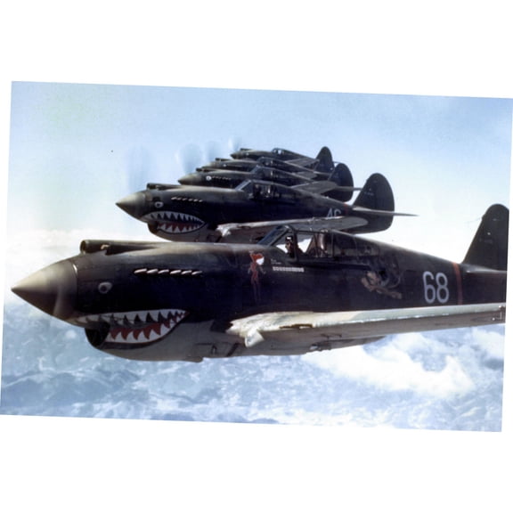 Flying Tigers 1942 Aircraft Poster 16in x 24in 16x24 Multi-Color Square Adults Best Posters