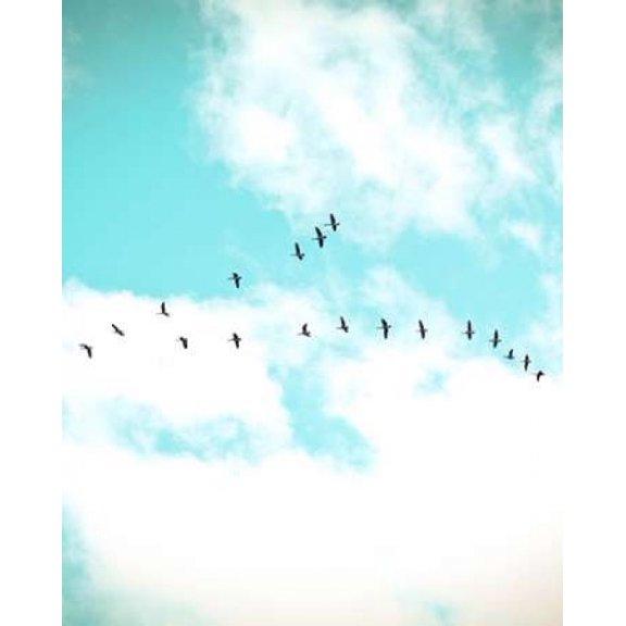 Flying V Canvas Art - Kelly Poynter (24X30)