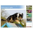 thumbnail image 1 of Flying dogs in agility (Monthly Wall Calendar 2026 16.5 x 23.4 (open)), CALVENDO 14 Month Calendar, 1 of 9