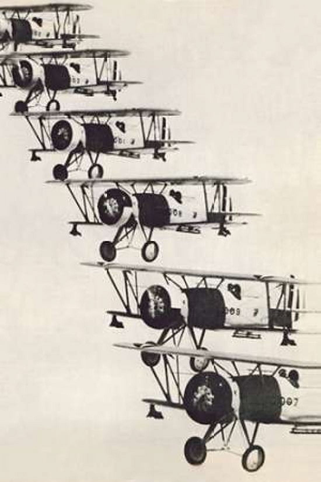 Flying in Formation Canvas Art - Unknown (24 x 36)