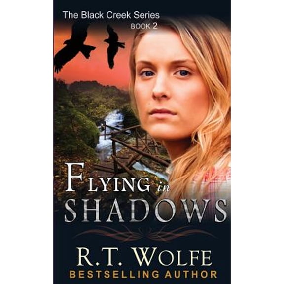 Flying in Shadows (The Black Creek Series, Book 2) (Paperback)