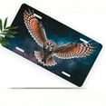 thumbnail image 1 of Flying owl Funny Personalized License Plate Rust-proof Stainless Steel Metal License Plate Suitable For Men And Women 12.2" x 6.2", 1 of 6
