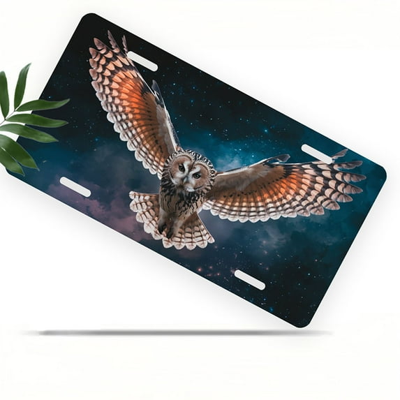 Flying owl Funny Personalized License Plate Rust-proof Stainless Steel Metal License Plate Suitable For Men And Women 12.2" x 6.2"