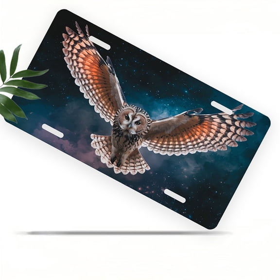 Flying owl Funny Personalized License Plate Rust-proof Stainless Steel Metal License Plate Suitable For Men And Women 12.2" x 6.2"