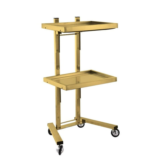 Flylapdo Stainless Steel Salon Cart Beauty Salon Rolling Trolley Cart Non-Slip 2 Tier Metal Rolling Cart for Bedroom Living Room Bathroom Kitchen ingenious