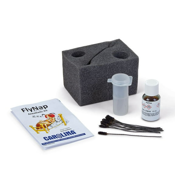 Flynap Anesthetic Kit, Anethesize Drosophila