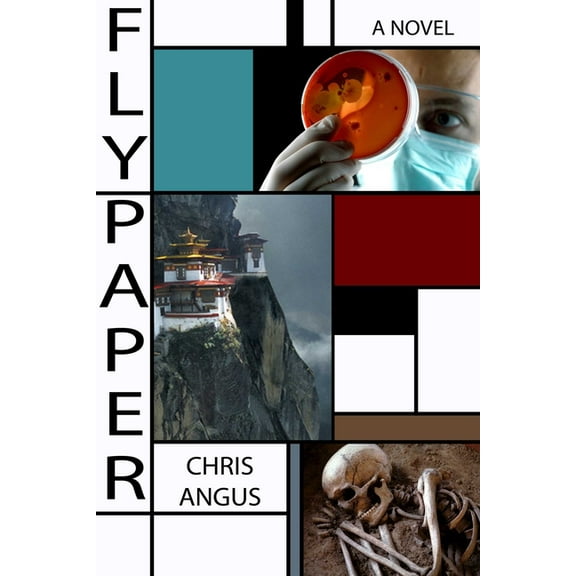 Flypaper : A Novel (Paperback)