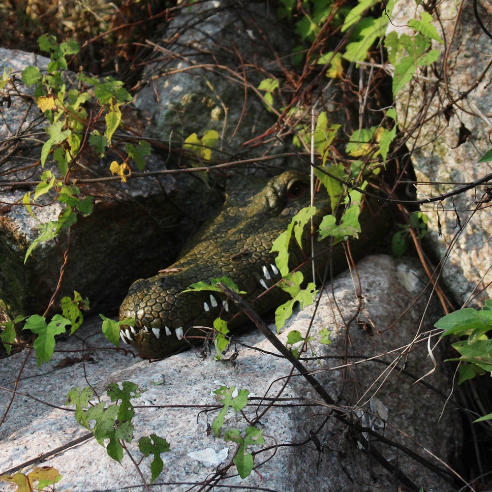 BEZGAR RC Tank - Amphibious Remote Control Car, Gesture Sensing RC Stunt Car With 2 Rechargeable Batteries, 2.4GHz All Terrain Off Road Truck Crawler Toys, Birthday Gifts For Boys & Girls