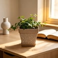 thumbnail image 1 of Fmbmuo 8-Inch Faux Ceramic Potteder with Tray, Vintage Embossed Plastic Flower Pot, Thickened Durable Potted Container for Indoor and Outdoor Succulents, Herbs, and Home Decor, 1 of 6