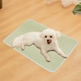 thumbnail image 1 of Fmbmuo Cat Dog Mat Fluffy Medium Warm Anti-Slip Pet Bed, Cozy Soft Rectangular for Indoor Cats and Small Dogs (Multicolor), 1 of 1