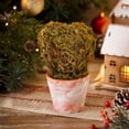 thumbnail image 1 of Fmbmuo Christmas Decor Creative Mini Tree Heart Shaped Desktop Ornament Festive Potted Decor for Desk and Shelf Ornaments,Green, 1 of 5