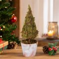 thumbnail image 1 of Fmbmuo Christmas Decor Creative Mini Tree Heart Shaped Desktop Ornament Festive Potted Decor for Desk and Shelf Ornaments,Green, 1 of 5