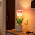 thumbnail image 1 of Fmbmuo Mood Light Pink Soft Lighting Preserved Flower Valentine's Decorative Lights, Bohemian Plastic Table Lamp Romantic Room Decor, 1 of 5