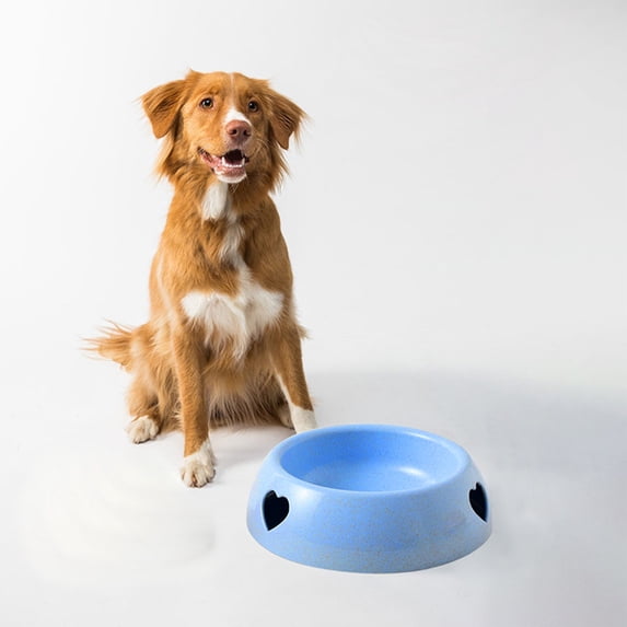 Fmbmuo Non-Slip Dog Bowls & Feeders Plastic Blue for Large Dogs Cat Bowls, Bohemian Chew Proof Multi-Pet Pet Bowls, Indoor/Outdoor Use
