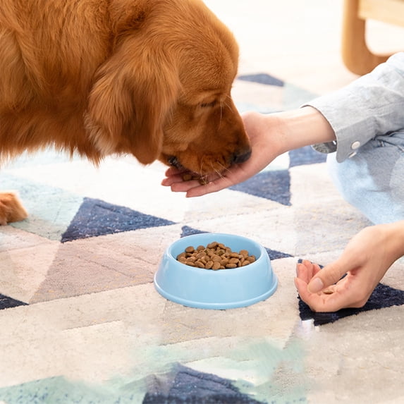 Fmbmuo Blue Dog Bowls & Feeders Plastic for Large Dogs Non-Slip Cat Bowls, Art Deco Easy to Clean Thickened Pet Bowls, Suitable for Dogs and Cats