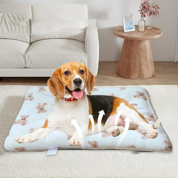Fmbmuo Warm Cat Dog Mat Large Thick Warm Heated Pet Mat, Soft Cozy Rectangular for All Seasons Dog and Cats Nests (Blue)
