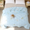 thumbnail image 1 of Fmbmuo Washed Cotton Summer Conditioning Quilt Lightweight Breathable Air Conditioner Blanket Machine Washable Twin Size (Blue), 1 of 5
