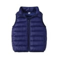 thumbnail image 1 of Fmbrln Boys and Girls Puffer Vest Full Zip Up Stand Collar Sleeveless Quilted Jackets Fall Winter Thickened Warm Coat, Sizes 2-9Y, 1 of 5